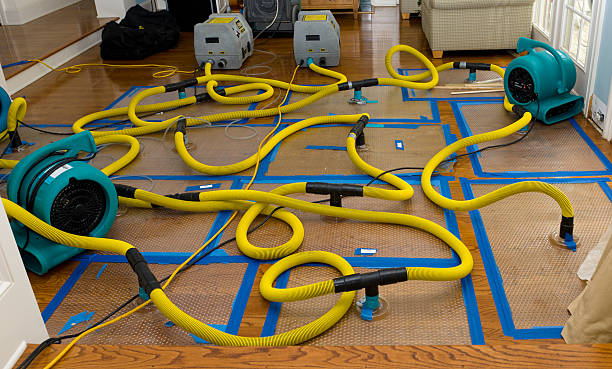 Professional Basement Flood Cleanup technician working in Myerstown, PA